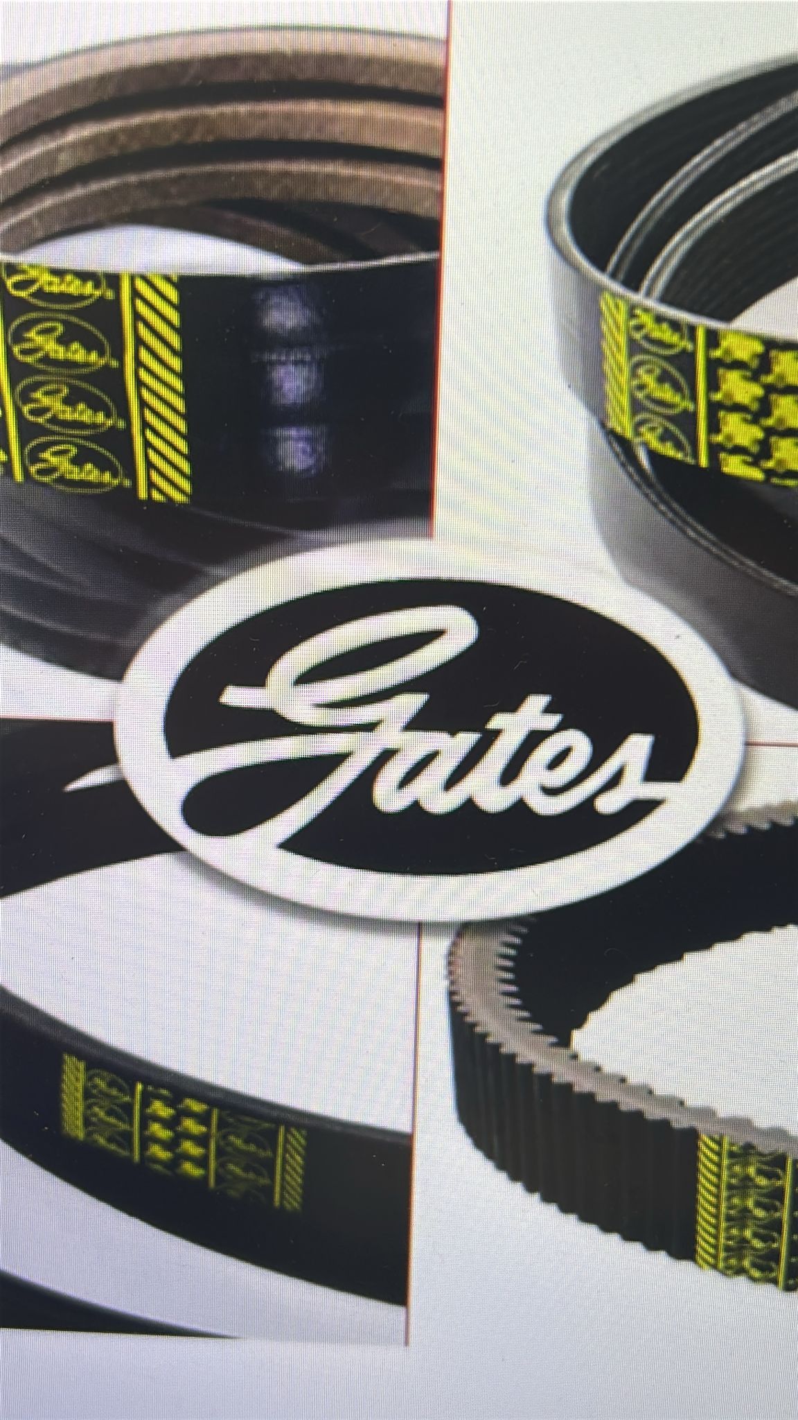 (1B) CUREA 848176133 0423318